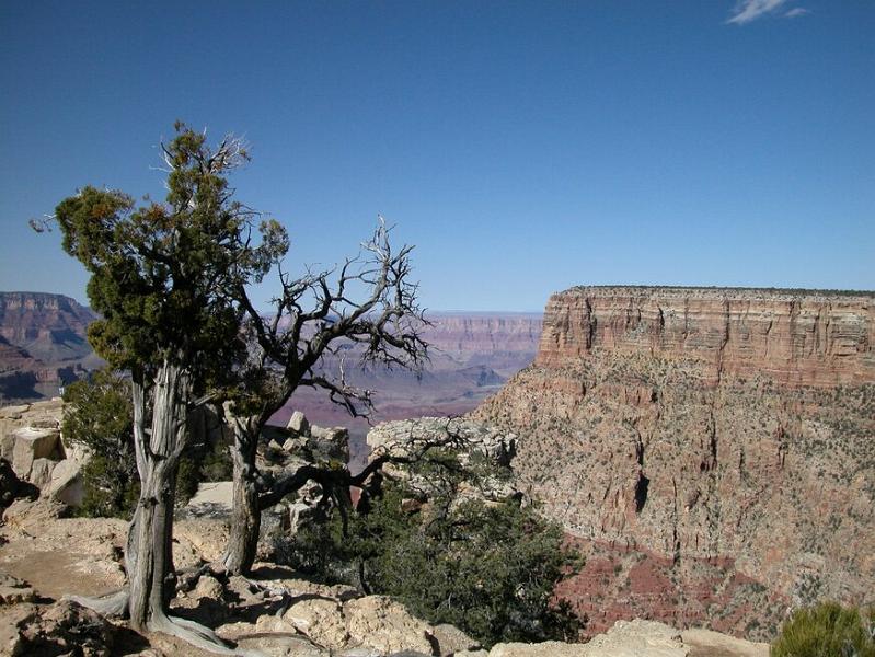 DSCN0820.JPG