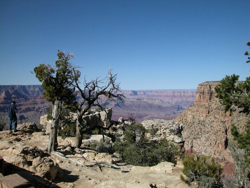DSCN0821.JPG