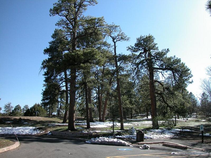 DSCN0831.JPG