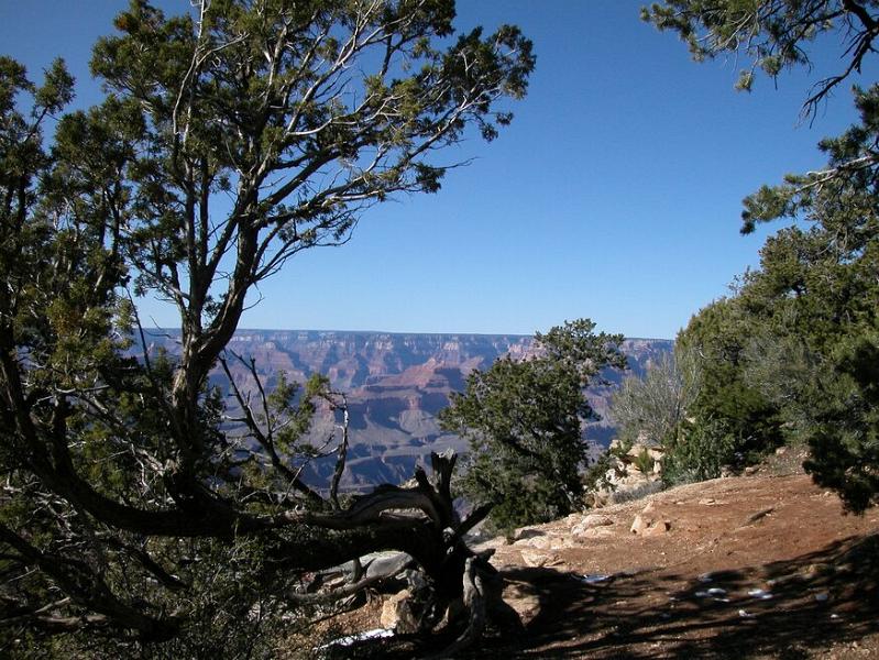 DSCN0842.JPG