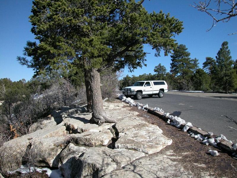 DSCN0845.JPG