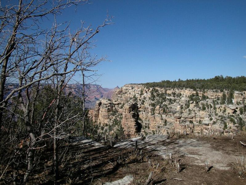 DSCN0847.JPG