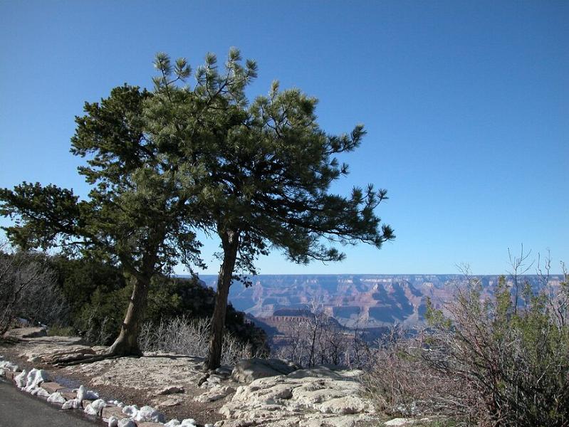 DSCN0850.JPG