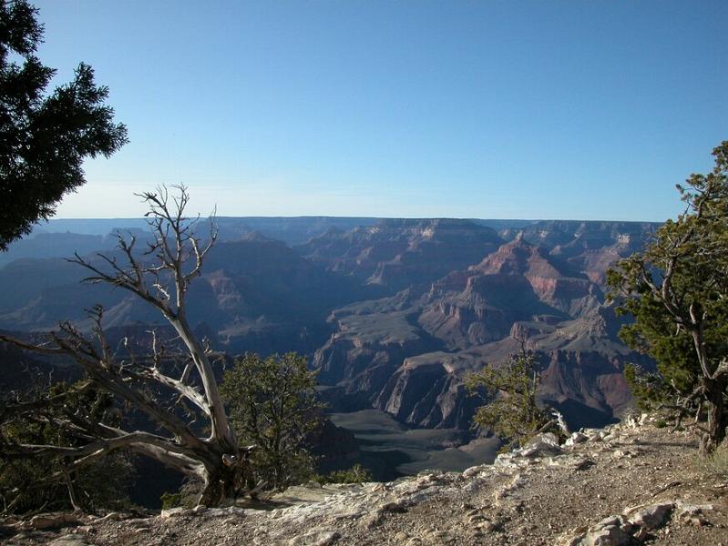 DSCN0870.JPG