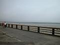 DSCN0202